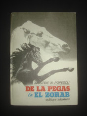 ARISTIDE N. POPESCU - DE LA PEGAS LA EL ZORAB {1978, cartonata} foto