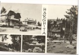 CPI (B6853) CARTE POSTALA - HARGHITA, MOZAIC, Circulata, Fotografie