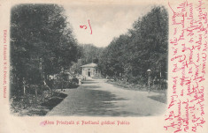 BARLAD , ALEEA PRINCIPALA SI PAVILIONUL GRADINEI PUBLICE , CLASICA ,CIRC. 1900 foto