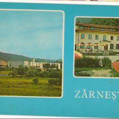 CPI (B6848) CARTE POSTALA - ZARNESTI. CARTIER TOHAN BLOCURI, CABANA GURA RAULUI