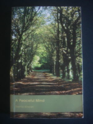 Bernie Kirwan - A peaceful mind foto