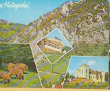 CPI (B6821) CARTE POSTALA - TARA HATEGULUI, Circulata, Fotografie