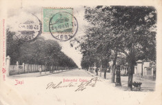 IASI , BULEVARDUL COPOU, TCV , CLASICA , CIRCULATA DEC. 1904 foto