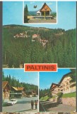 CPI (B6862) CARTE POSTALA - PALTINIS, Necirculata, Fotografie