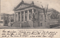 IASI , FACULTATEA DE MEDICINA SI INSTITUTUL ANATOMIC , CLASICA , CIRC. 1904 foto