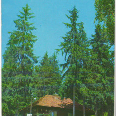 CPI (B6867) CARTE POSTALA - CABANA HOMOROD, HARGHITA