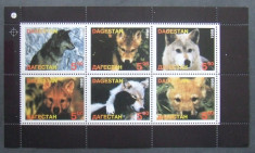 DAGESTAN 1998 - ANIMALE SALBATICE, 1 M/SH NEOBLITERATA, POSTA PRIVATA - PP 672 foto