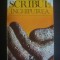 DUMITRU M. ION - SCRIBUL SI INCHIPUIREA