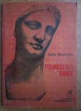 Radu Boureanu - Frumusetile oarbe