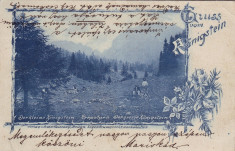 #1708- Romania, Konigstein, Piatra Craiului, c.p.. circulata 1909: Panorama foto