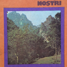 Colectia Muntii Nostrii - COZIA - N. C. Popescu, D. Calin