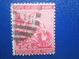 TIMBRE STRAINE CAPE OF GOOD HOPE