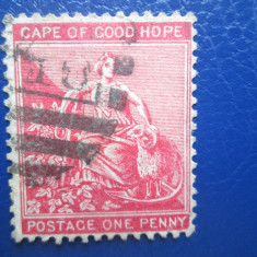 TIMBRE STRAINE CAPE OF GOOD HOPE