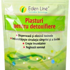 Plasturi detoxifiere (talpi) - 10 buc