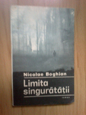d10 Nicolae Boghian - Limita singuratatii foto