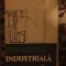 Revolutia industriala : studii / M. Dobb, S, Lilley, E. J. Hobsbawm, C. Fohlen