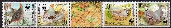 JUGOSLAVIA 2000, Fauna - Pasari, WWF, serie neuzata, MNH