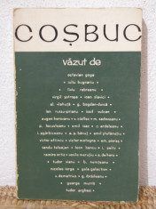 COSBUC VAZUT DE... foto