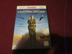 XXX FILM DVD CALIFORNIA DREAMIN foto