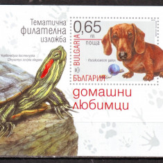 BULGARIA 2015 ANIMALE DE COMPANIE CAINI, TESTOASE EMISIUNE SPECIALA