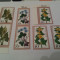 germania 1978 flora mnh