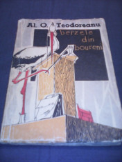 BERZELE DIN BOURENI-AL.O.TEODOREANU,EDITURA TINERETULUI 1957 foto