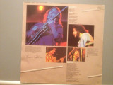 LARRY CARLTON - MR.335 LIVE IN JAPAN (1979/ WARNER REC/ RFG) - Vinil/Vinyl/JAZZ