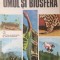 OMUL SI BIOSFERA - Viorel Soran, Margareta Borcea