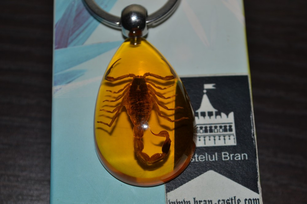 Breloc / pandantiv scorpion real incastrat in rasina | arhiva Okazii.ro