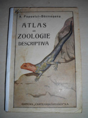 ATLAS DE ZOOLOGIE DESCRIPTIVA - A. POPOVICI BAZNOSANU,CCA 1930 foto