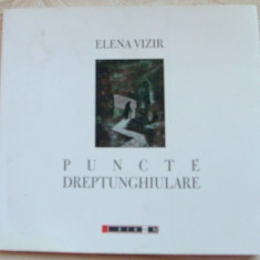 ELENA VIZIR - PUNCTE DREPTUNGHIULARE (POEZII) [EIKON 2012, dedicatie/autograf]
