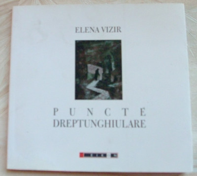 ELENA VIZIR - PUNCTE DREPTUNGHIULARE (POEZII) [EIKON 2012, dedicatie/autograf] foto