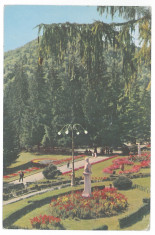 7185 - Romania ( 296 ) - Bacau, SLANIC MOLDOVA, Park - postcard - used - 1961 foto