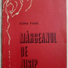 ELENA PANA - MARGEANUL DE NISIP (VERSURI,volum de debut 1983,dedicatie/autograf)