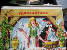 CENUSAREASA foto