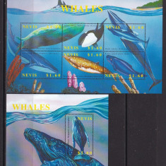 Nevis 2002 fauna marina MI 1782-87 + bl.212 MNH w27
