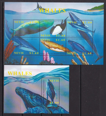 Nevis 2002 fauna marina MI 1782-87 + bl.212 MNH w27 foto