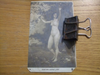 Carte Postala - Salon 1908 - RENOUX - necirculata foto