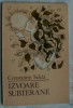 CONSTANTIN SALCIA - IZVOARE SUBTERANE (VERSURI, ultimul volum antum - 1984)