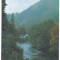 7296 - Romania ( 389 ) - Harghita, TUSNAD, OLT VALLEY - postcard - unused