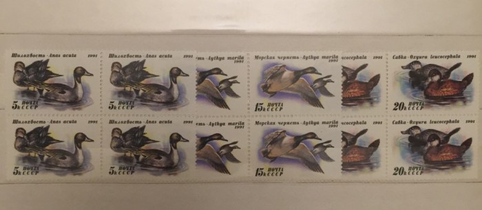 1991 Rusia URSS serie nestampilata RATE SALBATICE 3 blocuri