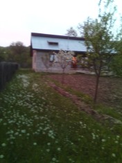Inchiriez casa la tara cu curte foto
