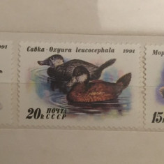1991 Rusia URSS serie nestampilata RATE SALBATICE