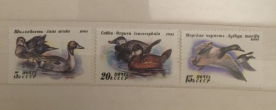 1991 Rusia URSS serie nestampilata RATE SALBATICE foto