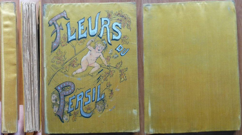 Paul Devaux Mousk , Fleurs du persil , Paris , 1887 , Curtezanele Parisului  | Okazii.ro