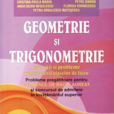 Matematica- Geometrie si trigonometrie bacalaureat- Nicolescu