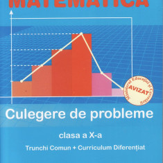 Matematica- Culegere de probleme-clasa a X-a-Burtea s.a