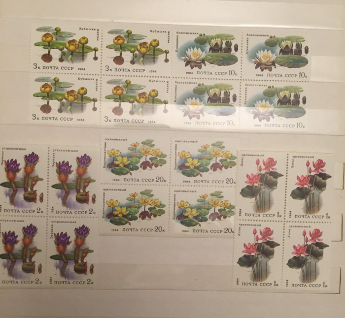 1984 Rusia URSS serie nestampilata FLORA SUBACVATICA 5 blocuri