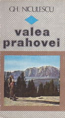 GH. NICULESCU - VALEA PRAHOVEI foto