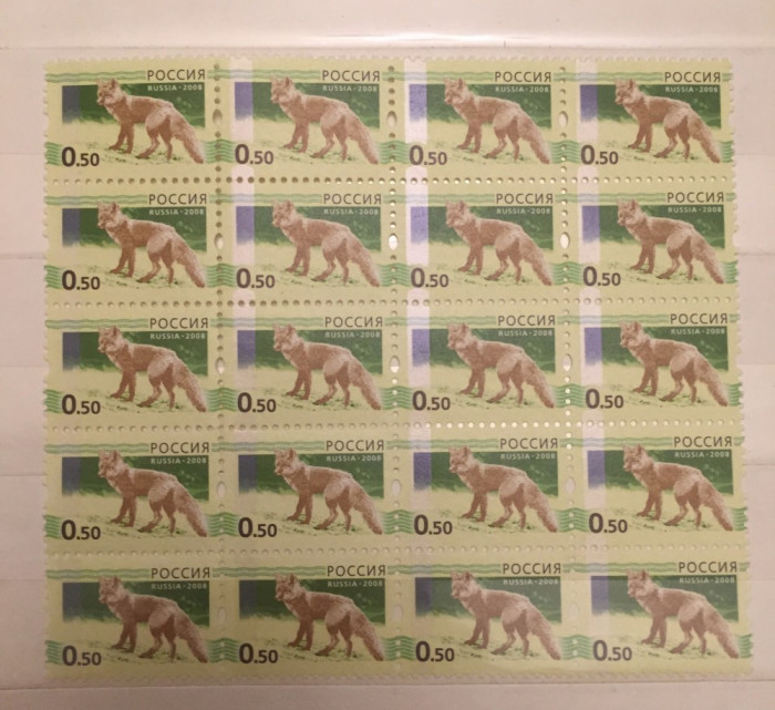 2008 Rusia coala ANIMALE VULPE nominal 50 kop